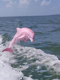 a pink dolphin jumping out of the water on top of a wave in the ocean