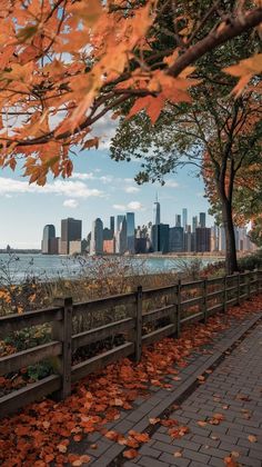 the city skyline is seen through autumn leaves