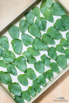 a tray with green leaves on top of it