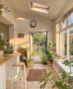 a room filled with lots of plants next to a kitchen counter and window sill