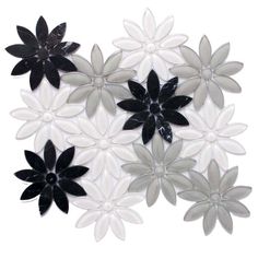 black and white flowers are arranged on the floor