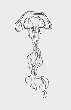 a black and white drawing of a jellyfish