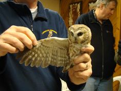 a man holding an owl in his hands with other people looking at the camera behind him