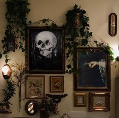 there are many framed pictures on the wall with plants growing in them, including a skull