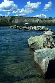 some rocks in the water and blue sky with clouds