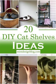 20 diy cat shelvings that are easy to make and great for cats