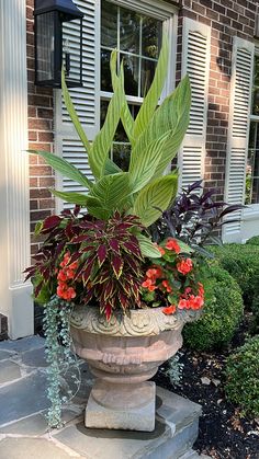 a large potted plant sitting on top of a stone step in front of a house