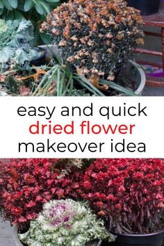 flowers and plants are arranged in pots with the words easy and quick dried flower makeover idea