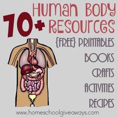 Human Body Unit Study, Human Body Projects, Study Science, Free Human Body, Medical Study, Human Body Activities, Books Crafts, Human Body Unit, Body Study