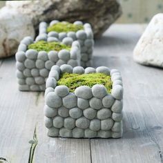 some rocks and moss are sitting on a wooden table next to large rocks with small plants growing out of them