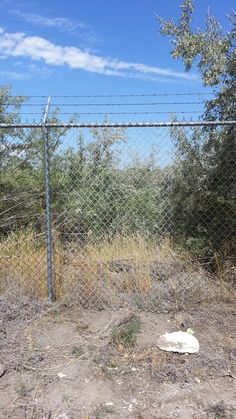 a baseball bat laying on the ground in front of a chain link fence and trees