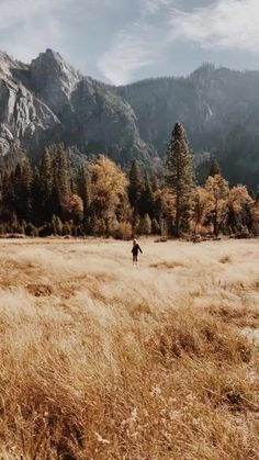 a person walking through a field with mountains in the background