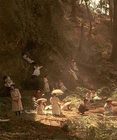 many people in the woods with umbrellas