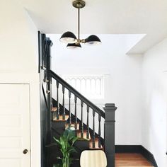 the stairs in this house have been painted black