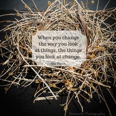 a bird nest with the quote when you change the way you look at things, the things you look at change