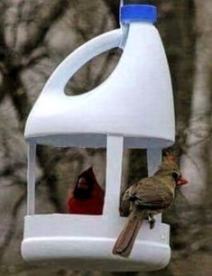 two birds perched on top of a bird feeder