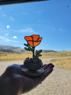 a hand holding a small potted plant with an orange flower in it's center