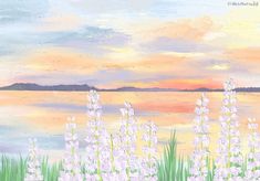 a painting of white flowers by the water