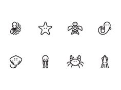 different types of sea animals are shown in black and white, including an octopus, starfish