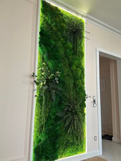 a living wall with plants growing on it