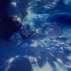 two seashells are laying on the sand under the water's surface in this underwater scene