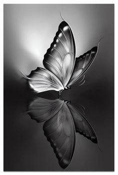 a black and white photo of a butterfly with its wings spread out, reflecting in the water