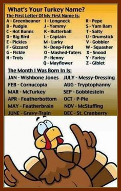 a cartoon turkey with the words what's your turkey name? and an image of a