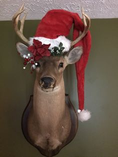 a deer head wearing a santa hat on top of a wall