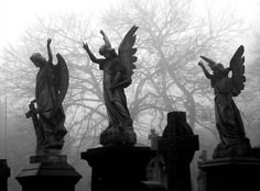 three statues with angel wings on top of headstones in front of foggy trees