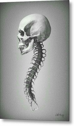 a human skeleton is shown with the lower jaw visible metal print by science photo library