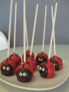 cake pops with chocolate covered ladybug faces on them sitting on a white plate