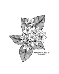 a black and white drawing of some flowers