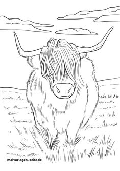 a black and white drawing of a yak