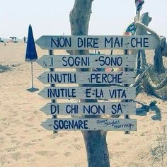 there are many signs on the beach pointing to different places in the sand and trees