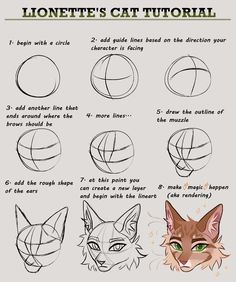 how to draw a cat's face with different angles and head shapes, step by step