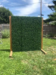 a tall green hedge sitting on top of a lush green grass covered field next to a wooden frame