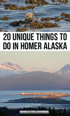 two pictures with the words 20 unique things to do in homer alaska