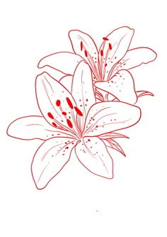 a red and white drawing of flowers on a white background