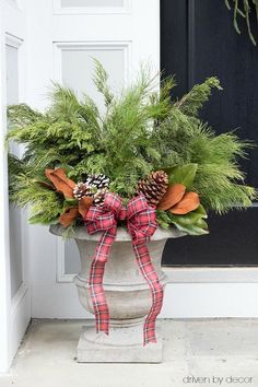 a potted plant with pine cones and greenery on the front door sill