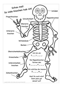 a diagram of the human body with all its parts labeled in black and white ink