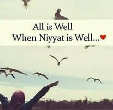 a person standing in front of birds flying over the ocean with a sign that says, all is well when nyyat is well