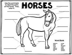 the parts of a horse labeled in black and white with text below it that says, horses