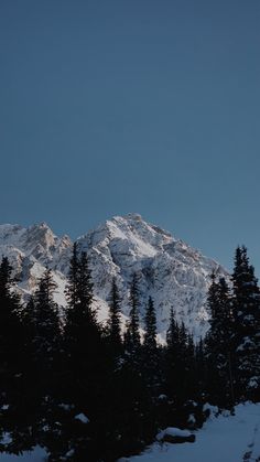 the mountain is covered in snow and surrounded by pine trees