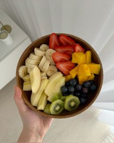 a person holding a bowl filled with sliced fruit and kiwi, blueberries, strawberries, oranges, and bananas