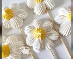 some white and yellow flowers are on sticks