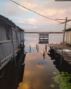 a body of water that has some houses on it and green plants in the water