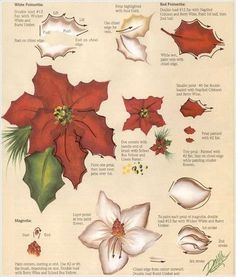 an illustration of poinsettis and other flowers