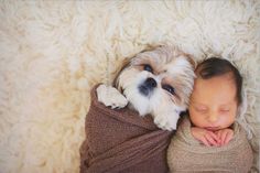 a small dog laying next to a sleeping baby