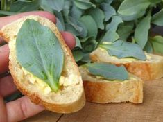 a hand holding a piece of bread with green leaves on it and another half eaten sandwich in the background