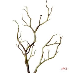 a bare tree with no leaves in front of a white background and red lettering on the bottom